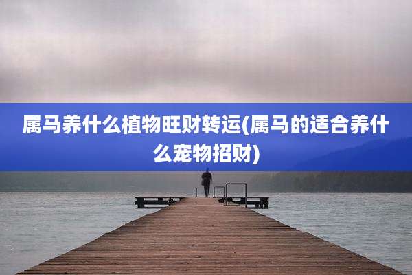 属马养什么植物旺财转运(属马的适合养什么宠物招财)