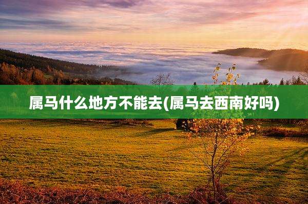 属马什么地方不能去(属马去西南好吗)