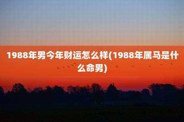 1988年男今年财运怎么样(1988年属马是什么命男)