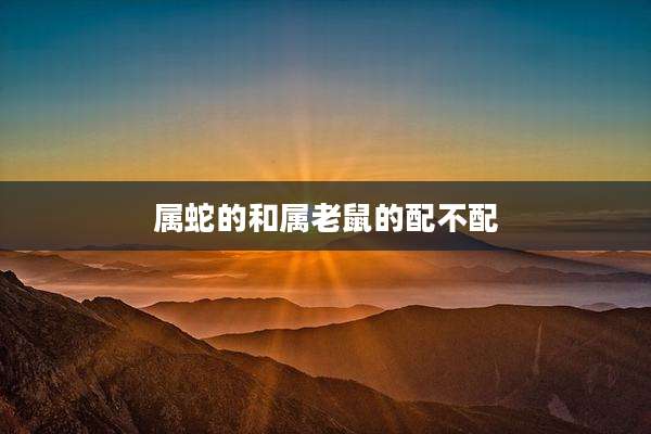 属蛇的和属老鼠的配不配