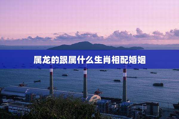 属龙的跟属什么生肖相配婚姻