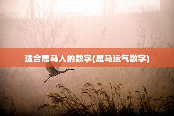 适合属马人的数字(属马运气数字)