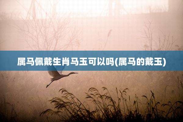 属马佩戴生肖马玉可以吗(属马的戴玉)