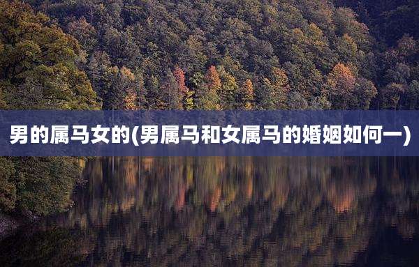 男的属马女的(男属马和女属马的婚姻如何一)