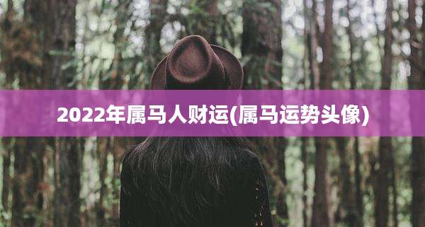 2022年属马人财运(属马运势头像)