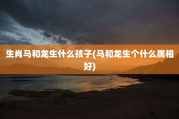 生肖马和龙生什么孩子(马和龙生个什么属相好)