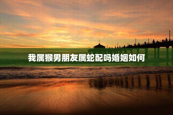 我属猴男朋友属蛇配吗婚姻如何