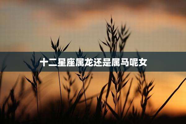 十二星座属龙还是属马呢女