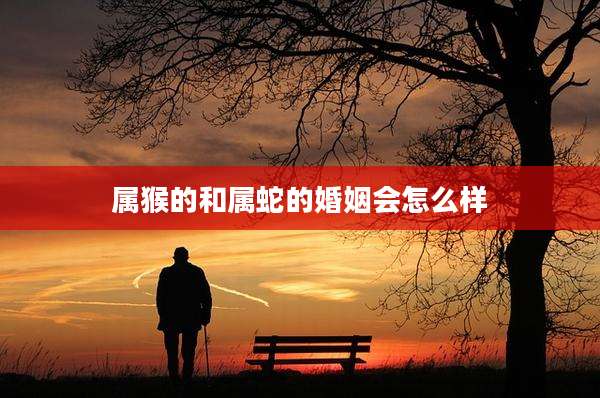 属猴的和属蛇的婚姻会怎么样