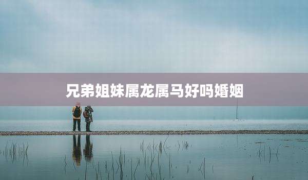 兄弟姐妹属龙属马好吗婚姻