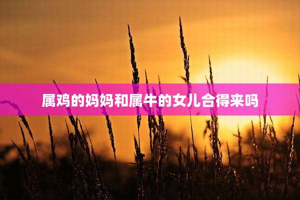 属鸡的妈妈和属牛的女儿合得来吗