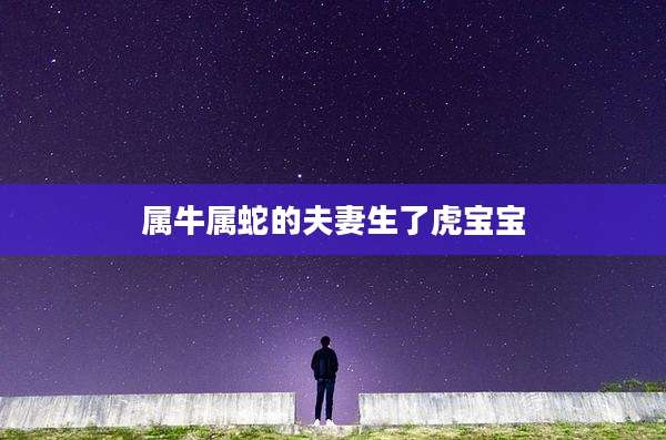 属牛属蛇的夫妻生了虎宝宝