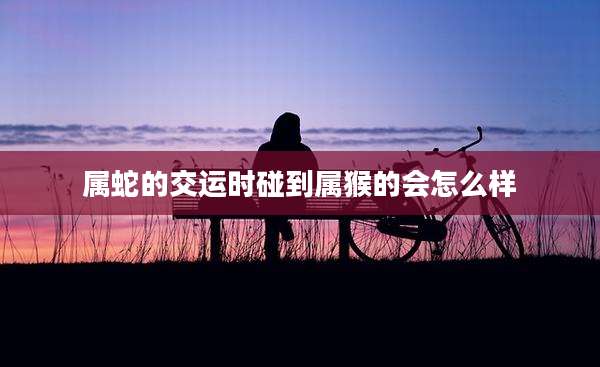 属蛇的交运时碰到属猴的会怎么样