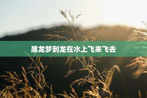 属龙梦到龙在水上飞来飞去