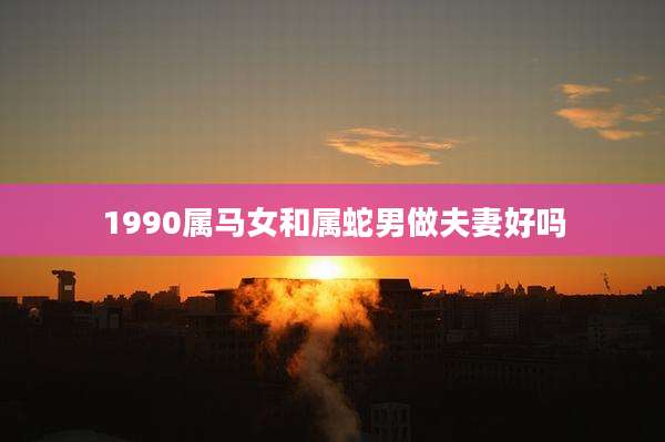 1990属马女和属蛇男做夫妻好吗