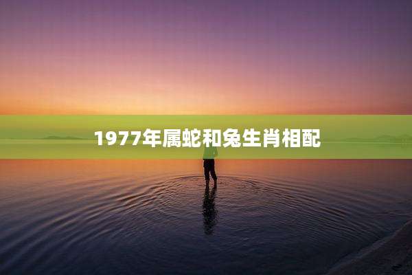 1977年属蛇和兔生肖相配