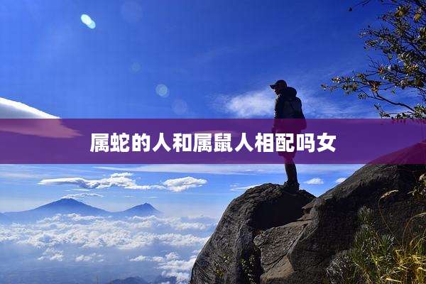 属蛇的人和属鼠人相配吗女