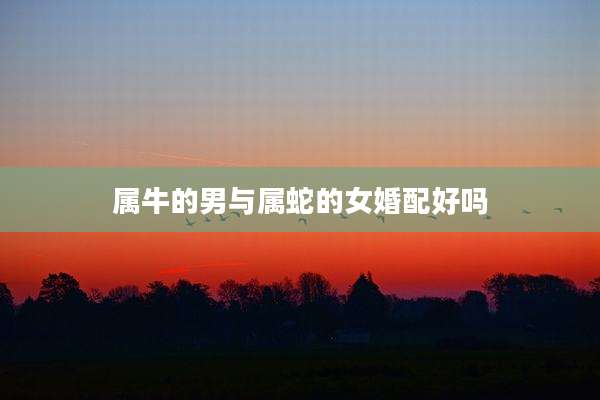 属牛的男与属蛇的女婚配好吗
