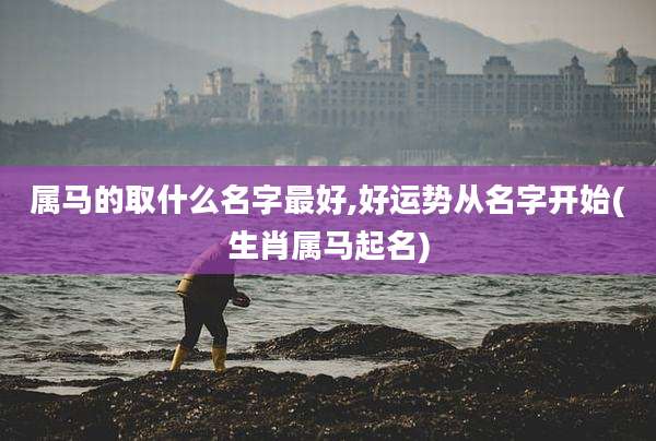 属马的取什么名字最好,好运势从名字开始(生肖属马起名)