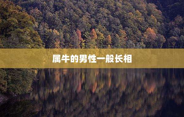 属牛的男性一般长相