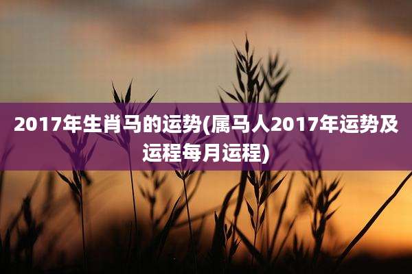 2017年生肖马的运势(属马人2017年运势及运程每月运程)