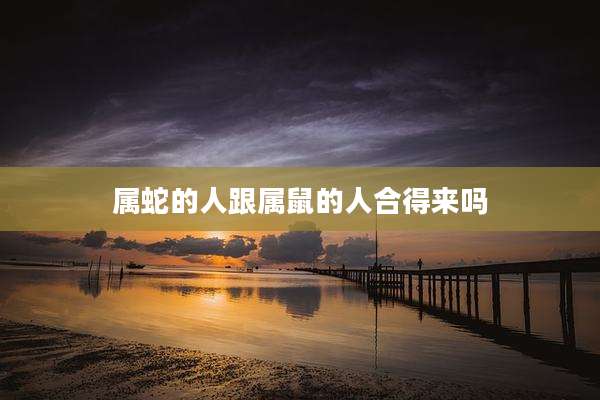 属蛇的人跟属鼠的人合得来吗