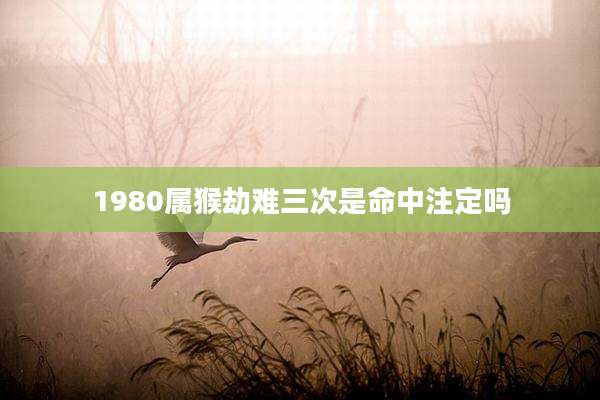 1980属猴劫难三次是命中注定吗