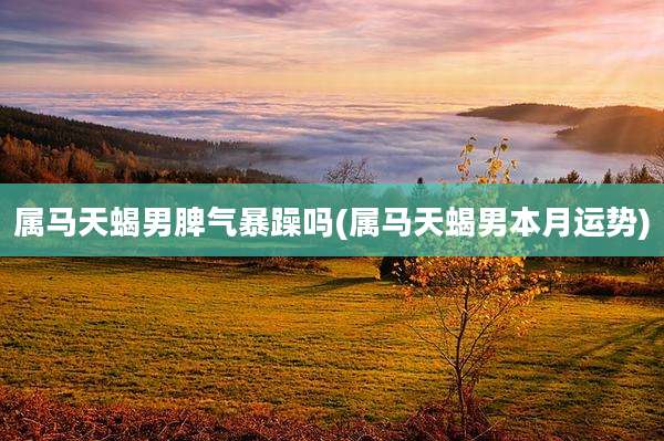 属马天蝎男脾气暴躁吗(属马天蝎男本月运势)