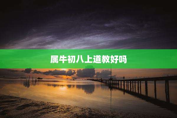 属牛初八上道教好吗