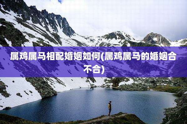 属鸡属马相配婚姻如何(属鸡属马的婚姻合不合)