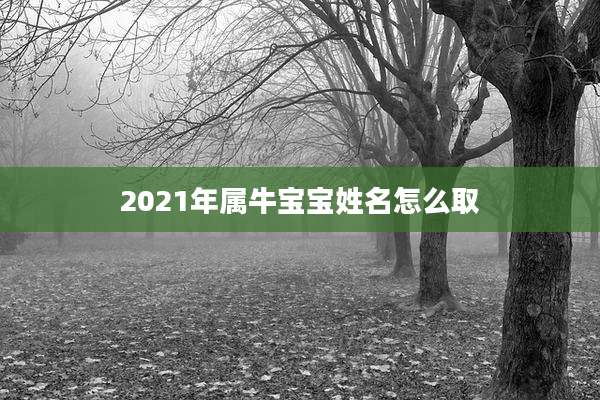 2021年属牛宝宝姓名怎么取