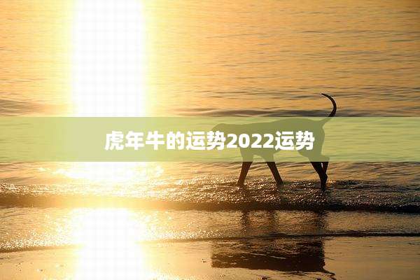 虎年牛的运势2022运势