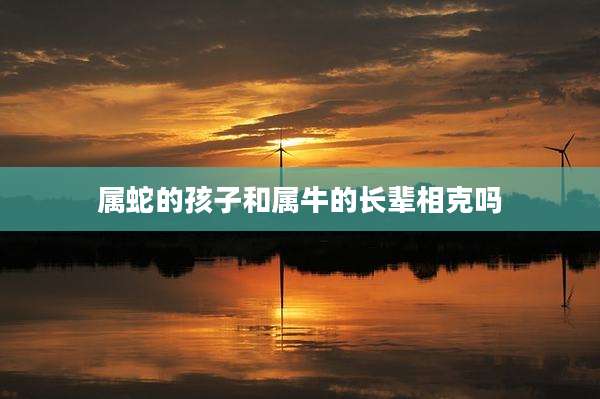 属蛇的孩子和属牛的长辈相克吗