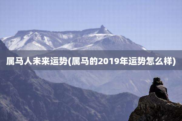 属马人未来运势(属马的2019年运势怎么样)