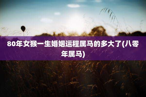 80年女猴一生婚姻运程属马的多大了(八零年属马)