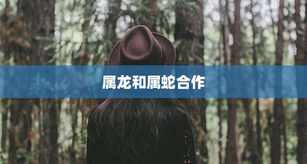 属龙和属蛇合作