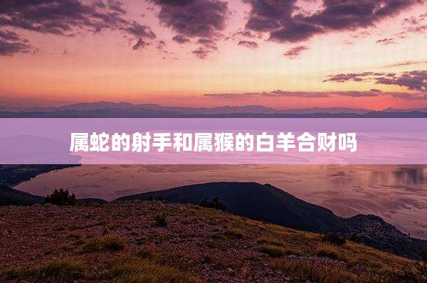 属蛇的射手和属猴的白羊合财吗