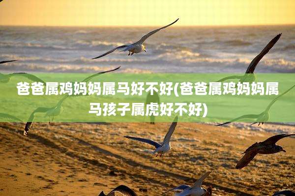 爸爸属鸡妈妈属马好不好(爸爸属鸡妈妈属马孩子属虎好不好)