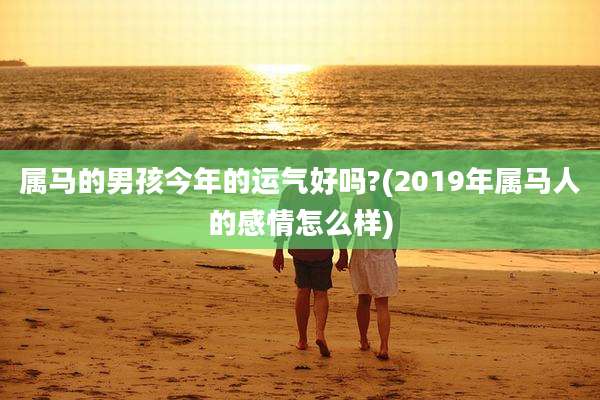 属马的男孩今年的运气好吗?(2019年属马人的感情怎么样)