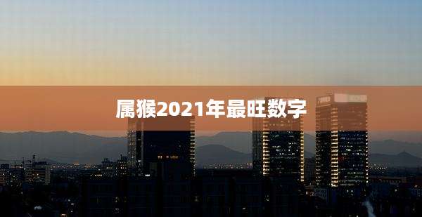 属猴2021年最旺数字