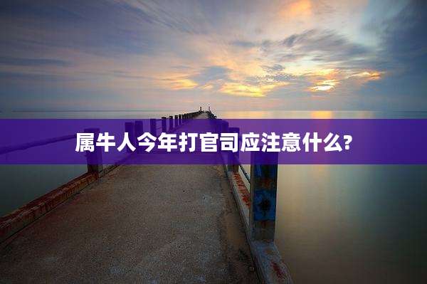 属牛人今年打官司应注意什么?