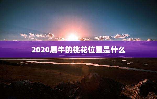2020属牛的桃花位置是什么