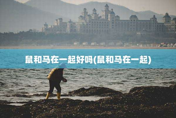 鼠和马在一起好吗(鼠和马在一起)