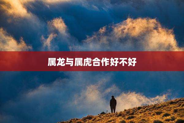 属龙与属虎合作好不好