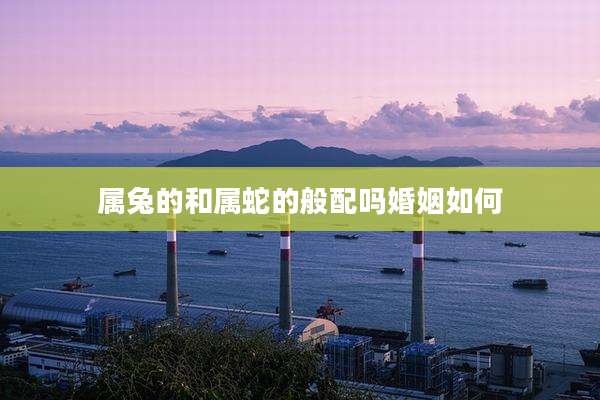 属兔的和属蛇的般配吗婚姻如何