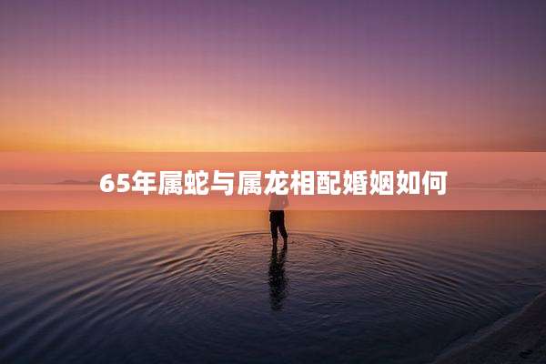 65年属蛇与属龙相配婚姻如何