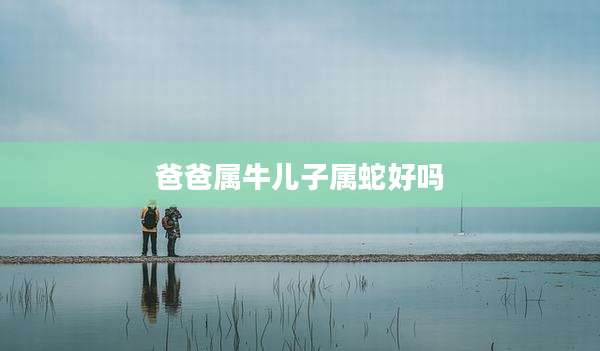 爸爸属牛儿子属蛇好吗