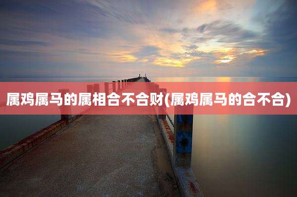 属鸡属马的属相合不合财(属鸡属马的合不合)