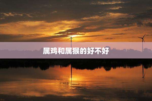 属鸡和属猴的好不好