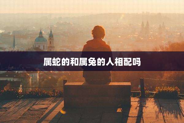 属蛇的和属兔的人相配吗